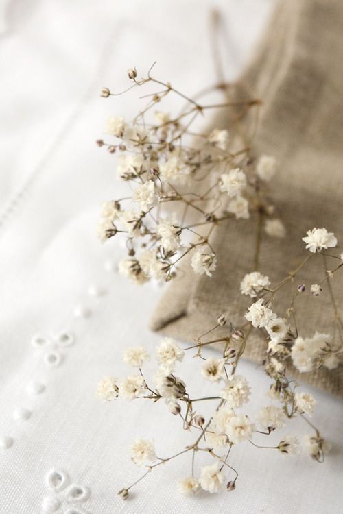 Linen Flower Reed Diffuser Refill 200ml - Secrets d'Armoire⎪Collines de Provence