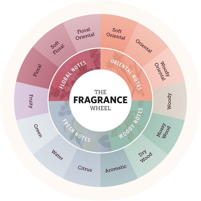 Fragrance wheel explained - Le Cap Soleil