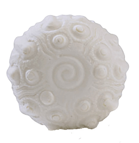 J'entends la Mer Urchin Soap 100gr⎪Lothantique